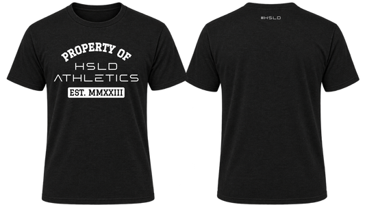 HSLD Property T-Shirt